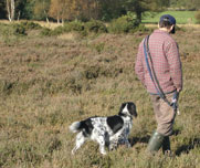 willow on walk