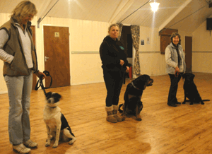 Training-farlow2