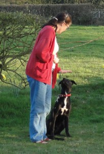 dog-training-1