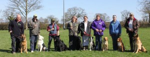 dog-training-course Dog Training Course